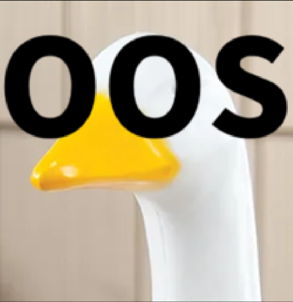 Team Figoose 