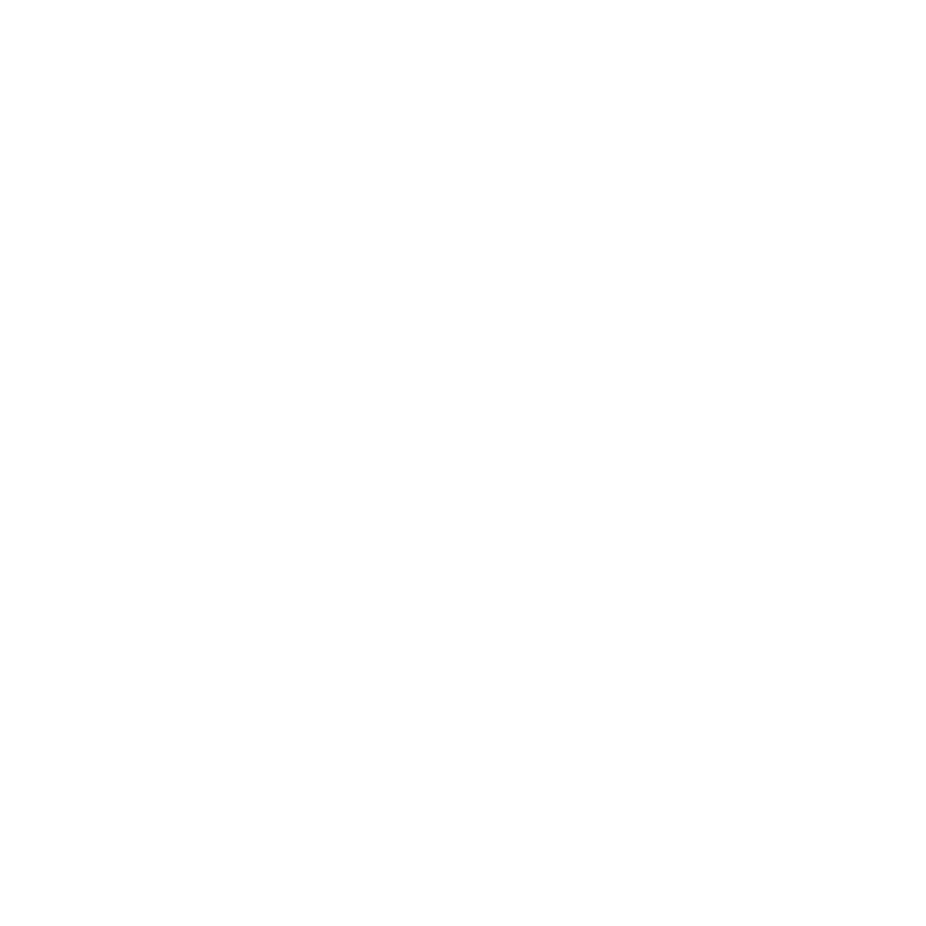 Renard Noir